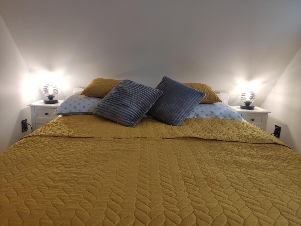 Apartament Alpa Kudowa-Zdroj Dış mekan fotoğraf